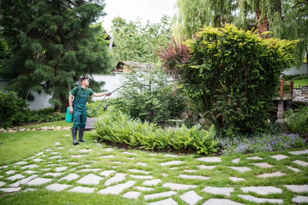 Best Local Pest Control Services  in Port Dickinson, NY