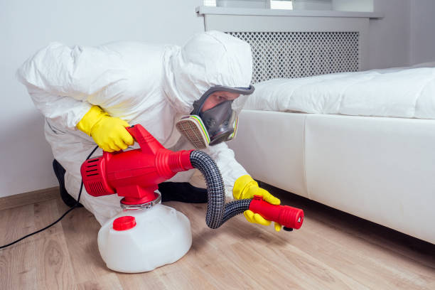 Best Residential Pest Control  in Port Dickinson, NY
