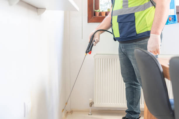 Best Emergency Pest Control  in Port Dickinson, NY
